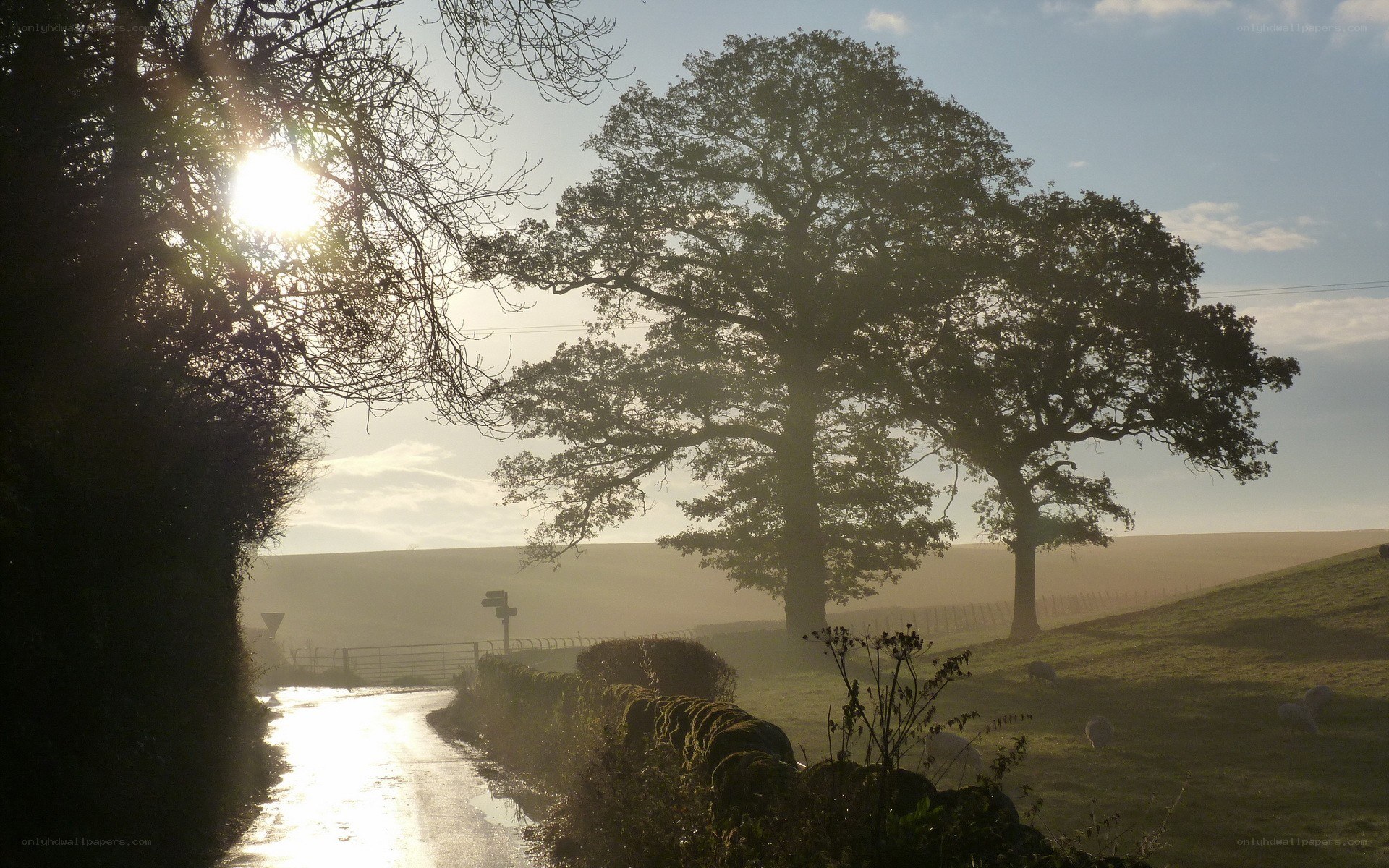 Sunrise over a rural road