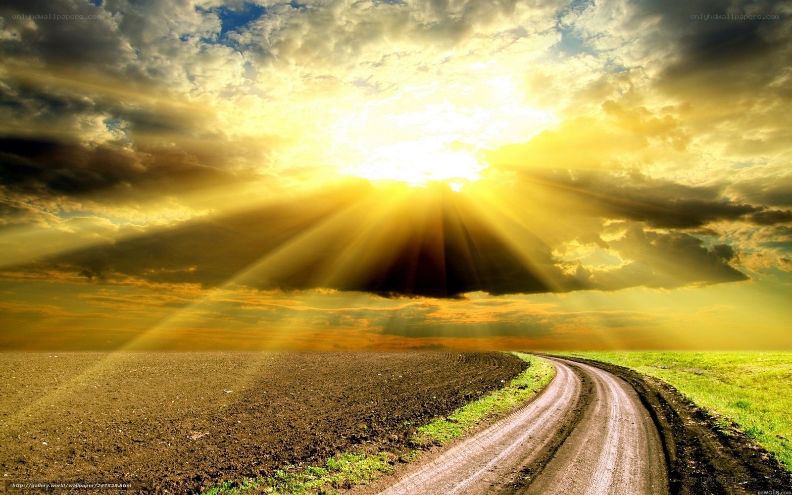 Sunrise over a rural road