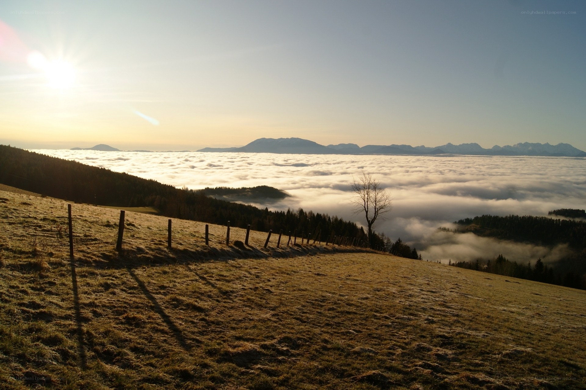 Sunrise over a sea of clouds