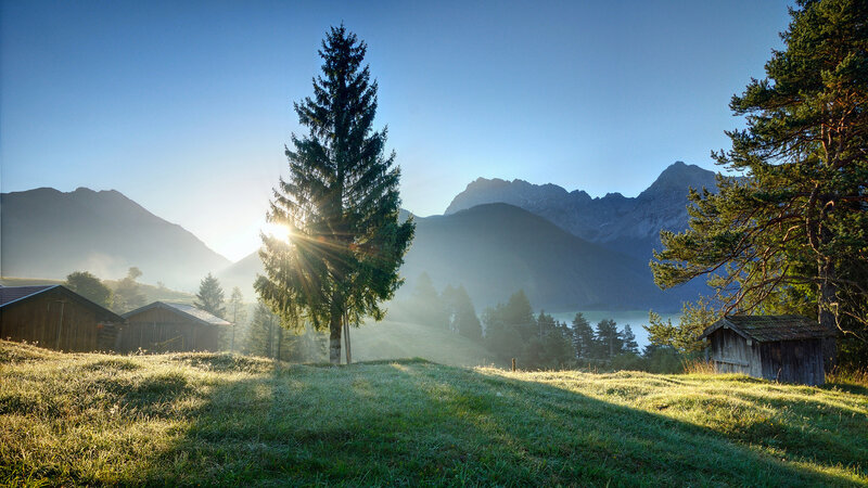 Sunrise over Alpine Valley — Green, Serene