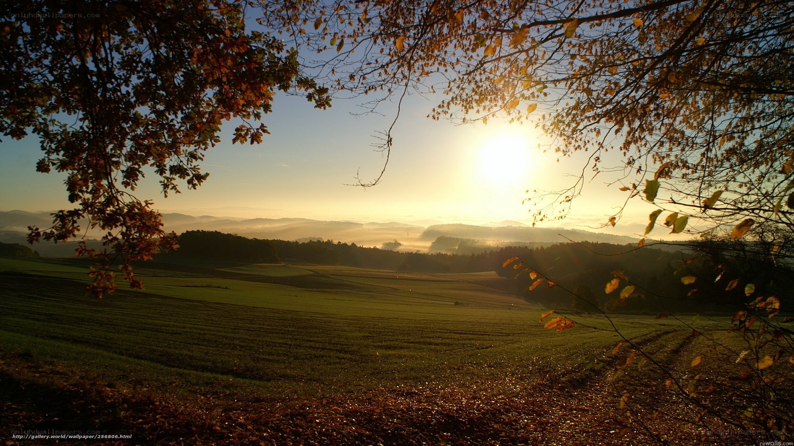 Sunrise over autumn fields