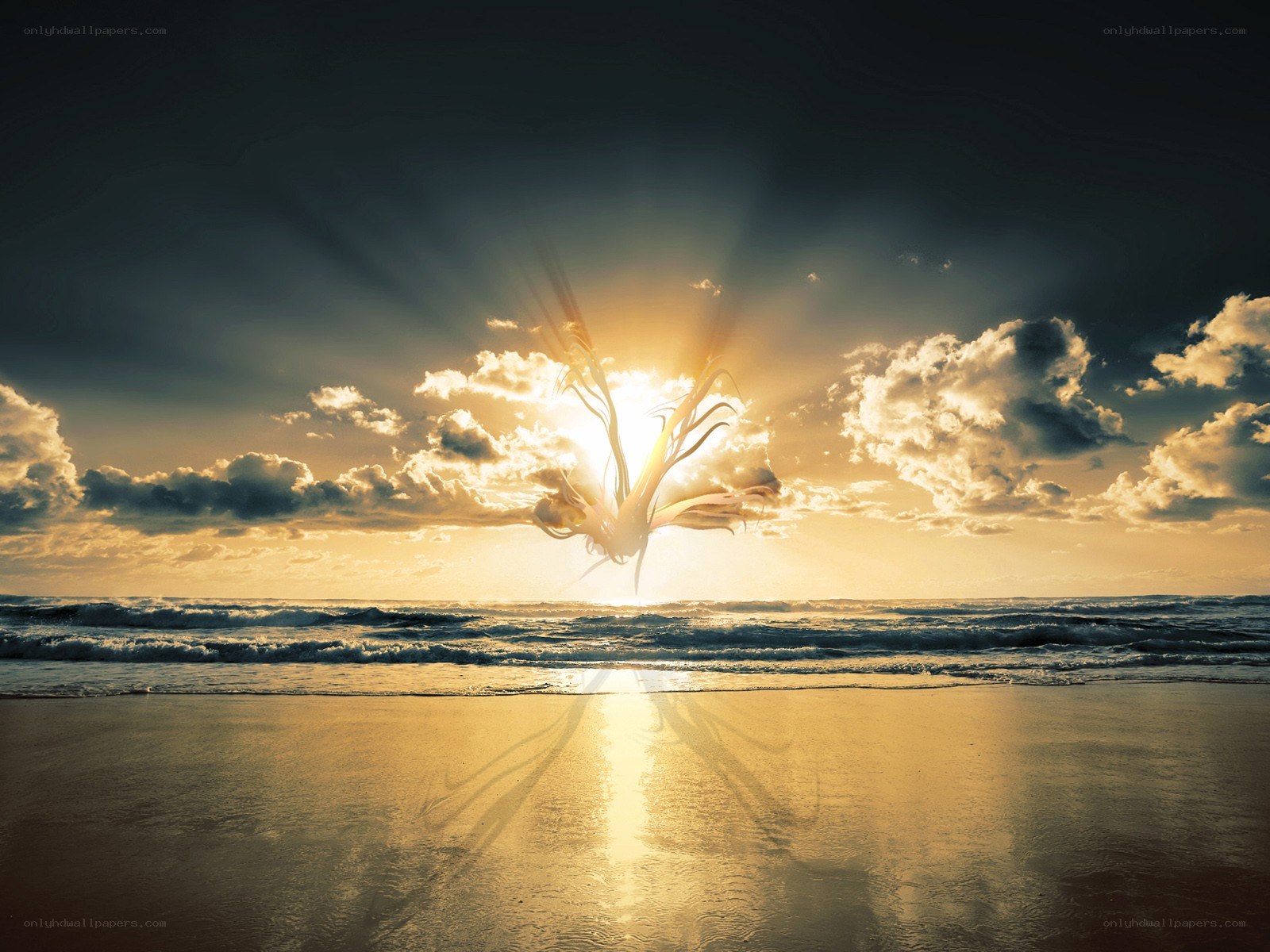 Sunrise over beach with glowing figure