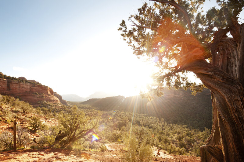 Sunrise over Canyon — Brown