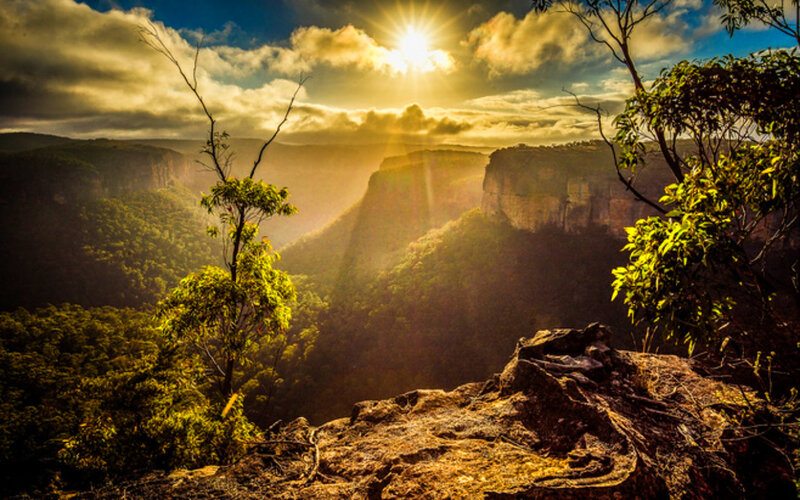 Sunrise over Canyon — Gold
