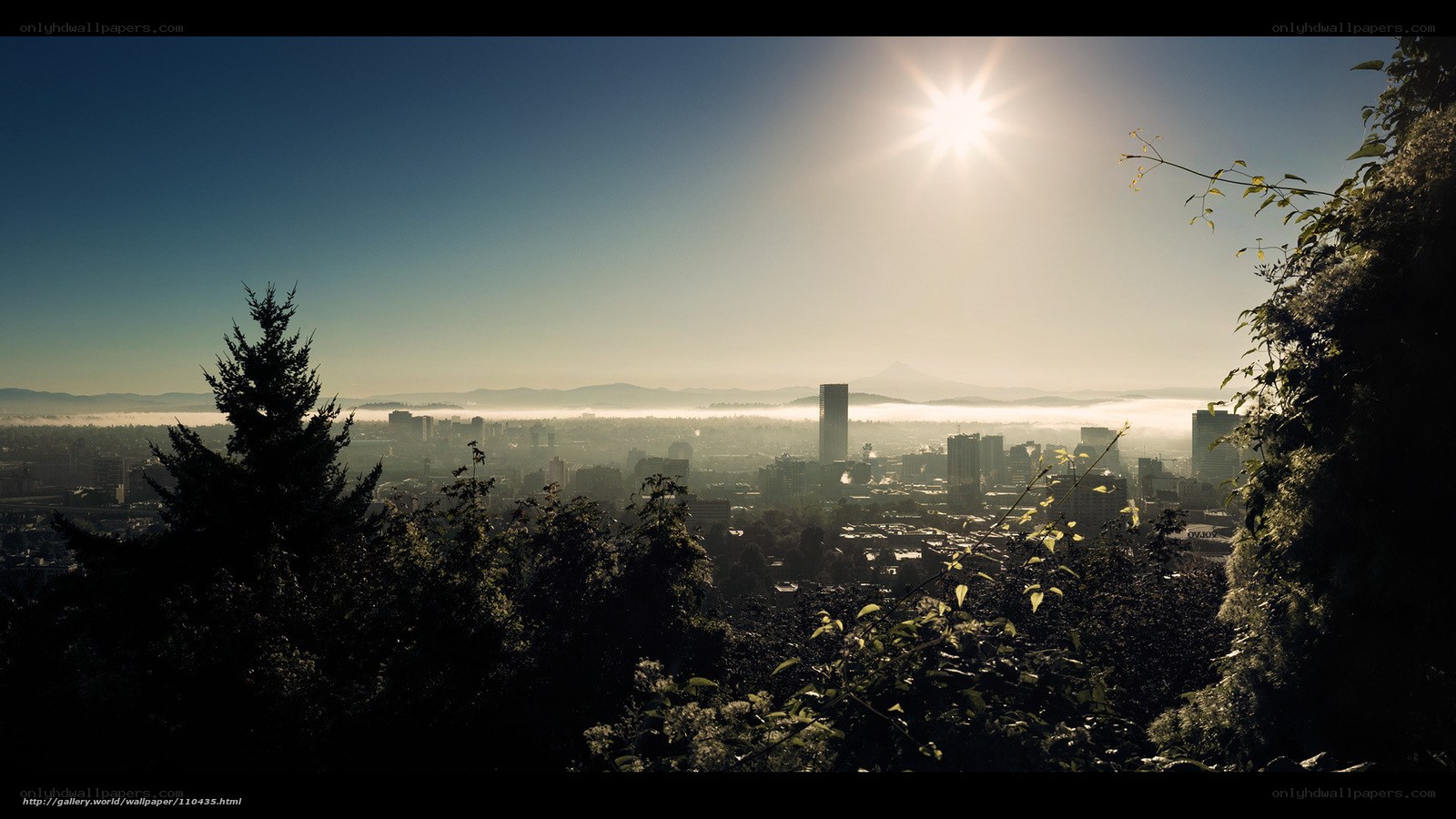 Sunrise over city skyline