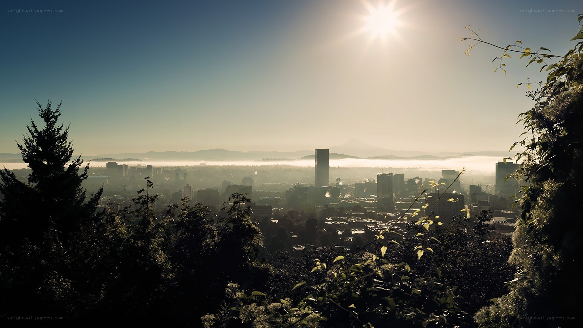 Sunrise over city with fog
