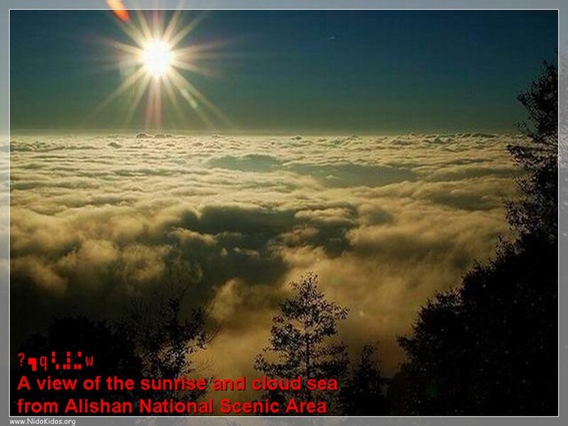 Sunrise over Cloud Sea — Blue, Serene, Photograph, Clouds, Trees, Sun