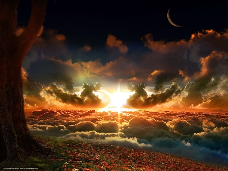 Sunrise over Clouds — Orange, Dramatic, Digital Art, Tree