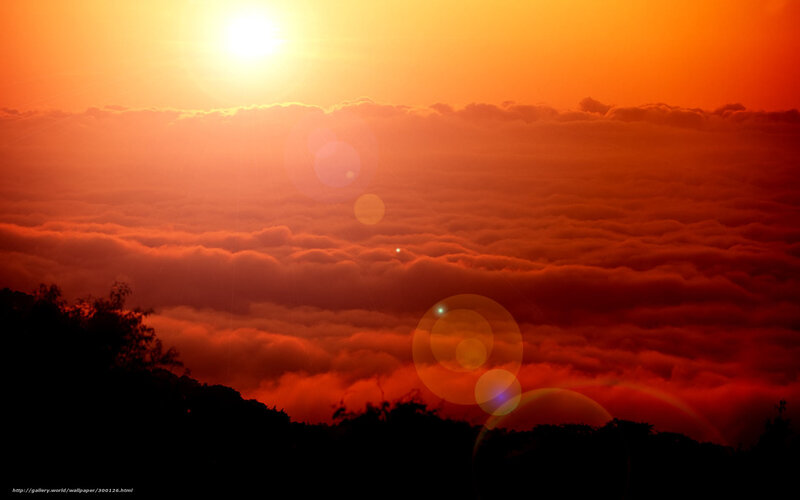 Sunrise over Clouds — Orange, Dramatic, Photograph, Sun, Trees