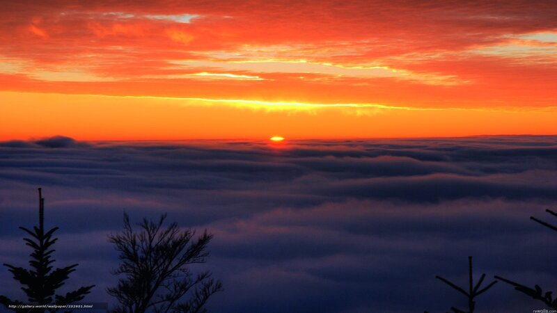 Sunrise over Clouds — Orange, Dramatic, Photograph, Trees, Sky