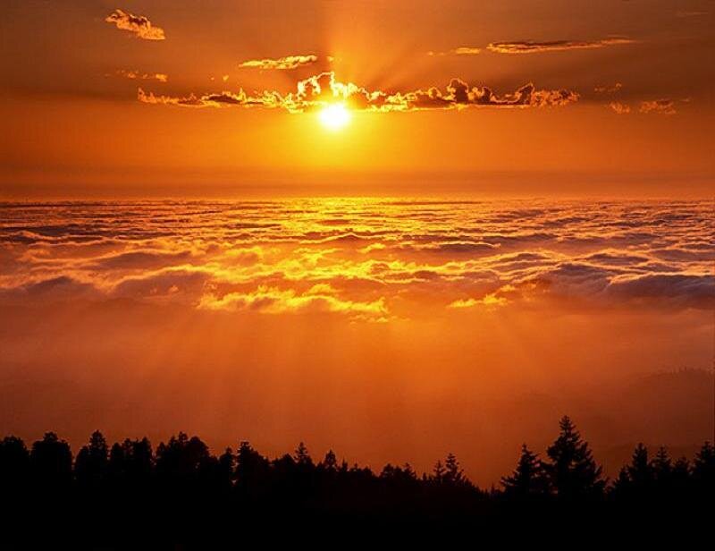 Sunrise over Clouds — Orange, Dramatic, Photograph, Trees