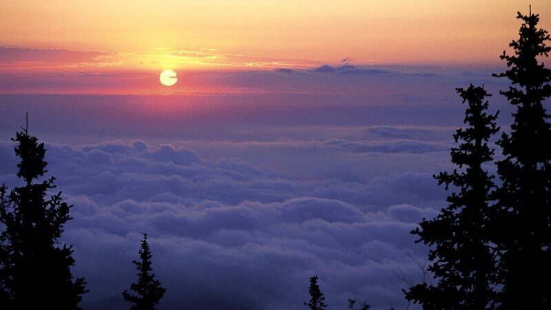 Sunrise over Clouds — Orange, Serene, Photograph, Trees, Sky
