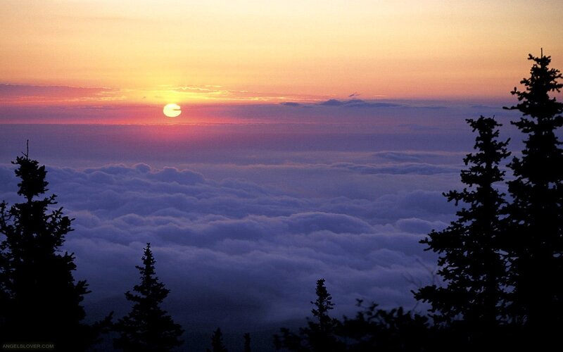 Sunrise over Clouds — Orange, Serene, Photograph, Trees