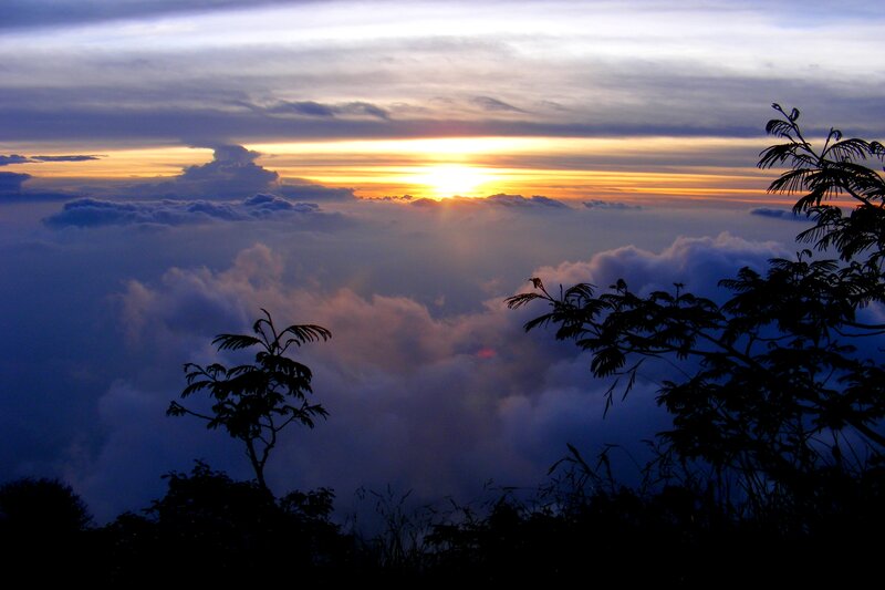Sunrise over Clouds — Yellow, Serene, Photograph, Trees