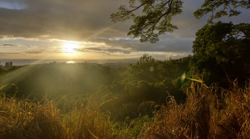 Sunrise over coastal city