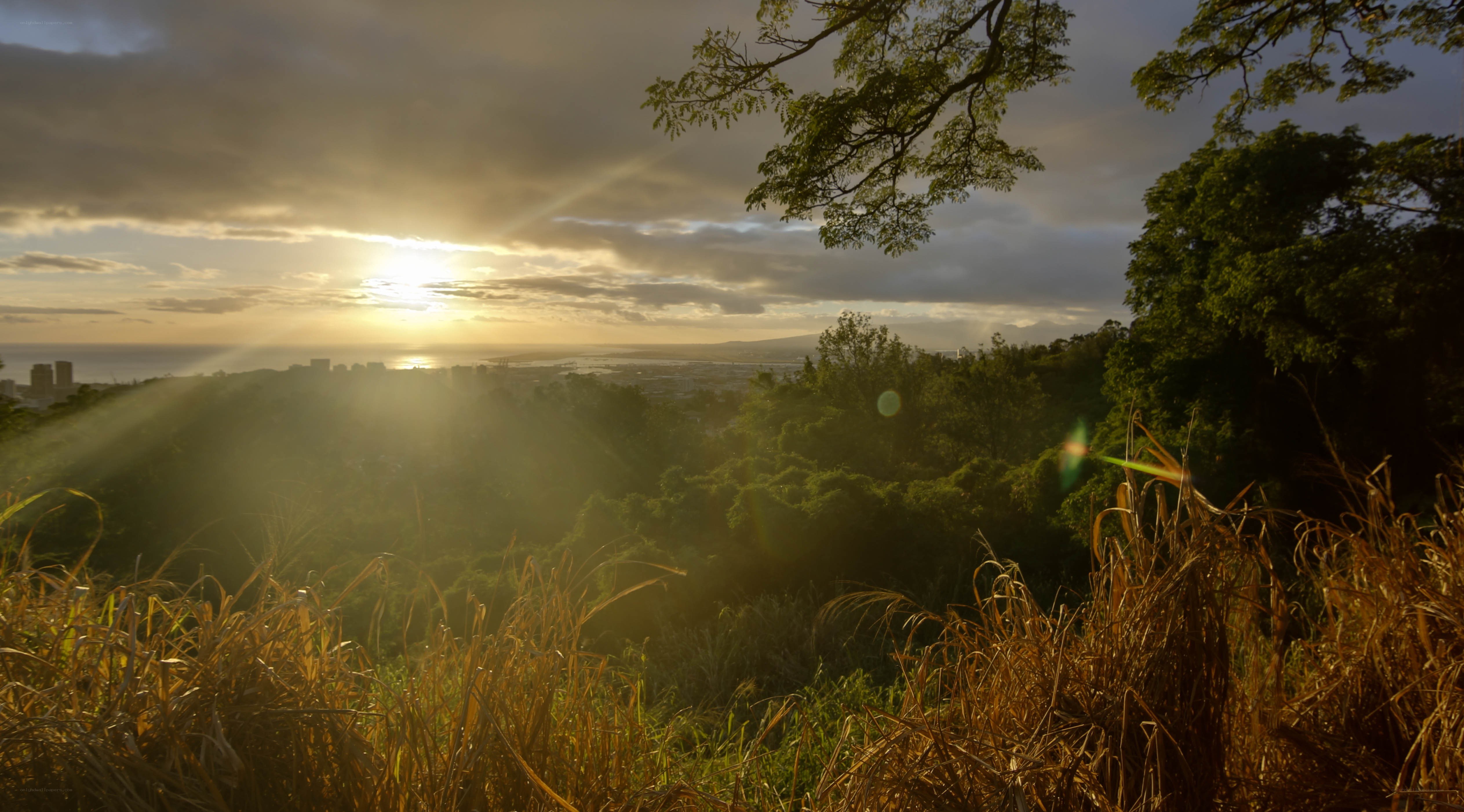 Sunrise over coastal city
