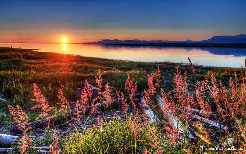 Sunrise over Coastal Marsh