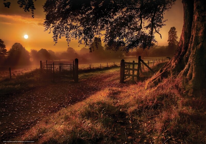Sunrise over Country Path