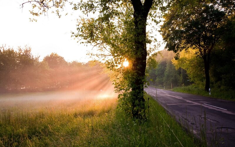 Sunrise over Country Road — Green