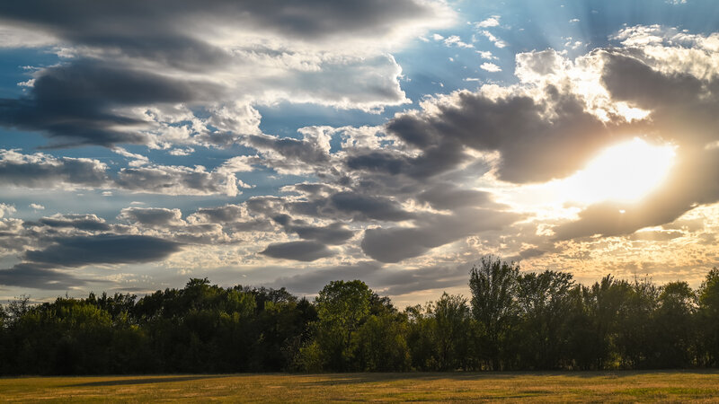 Sunrise over Field and Trees