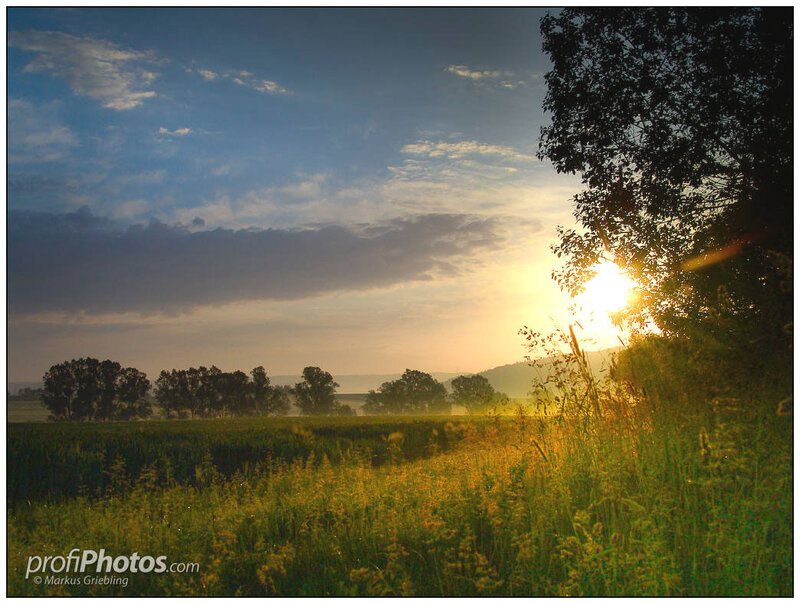 Sunrise over Field — Blue, Serene