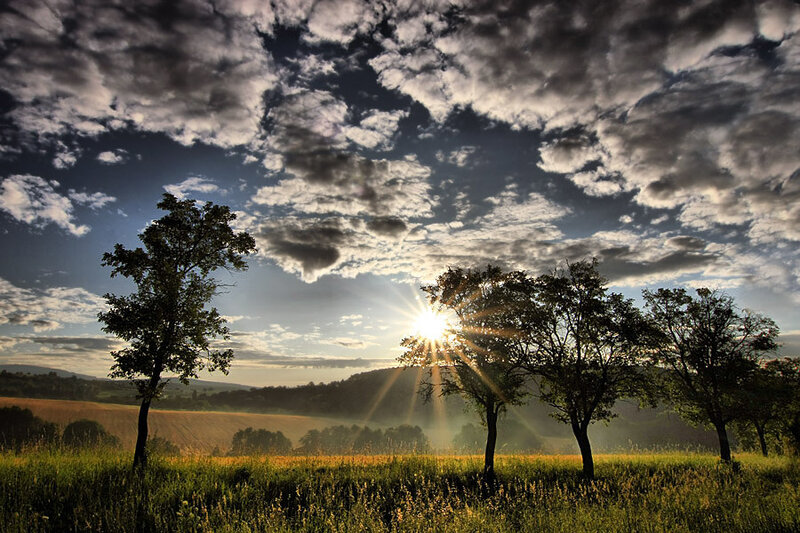 Sunrise over Field — Blue