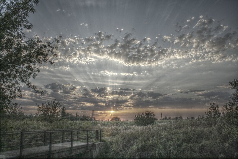 Sunrise over Field — Gray