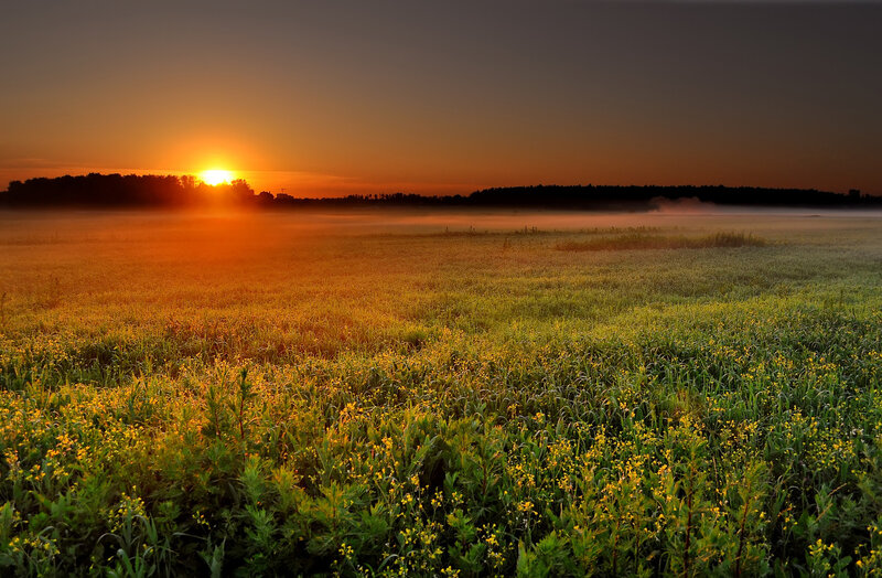 Sunrise over Field — Orange, Serene, Photograph