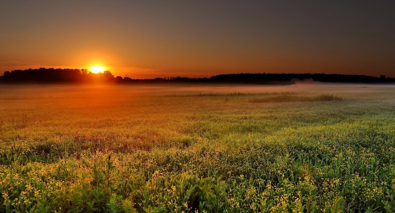 Sunrise over Field — Orange, Serene, Photograph, Trees