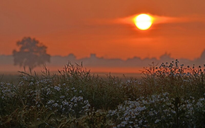 Sunrise over Field — Orange, Serene, Sunset, Photograph, Sun