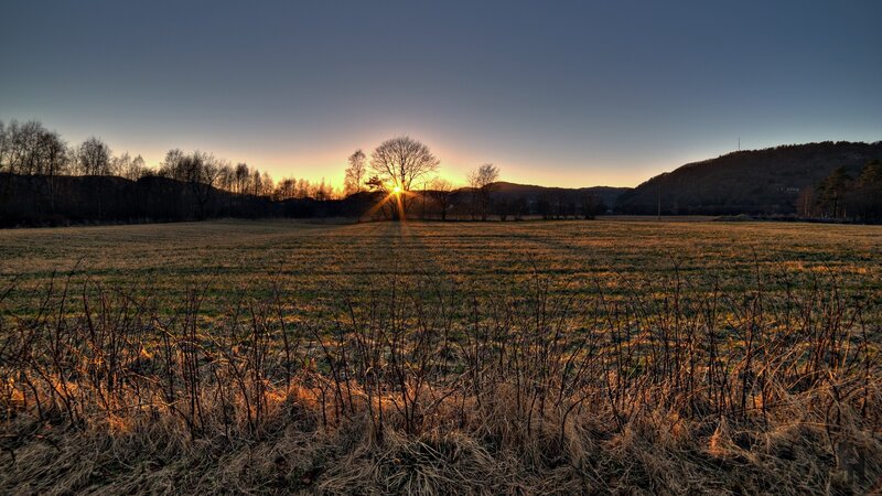 Sunrise over Field — Orange, Serene, Sunset, Photograph