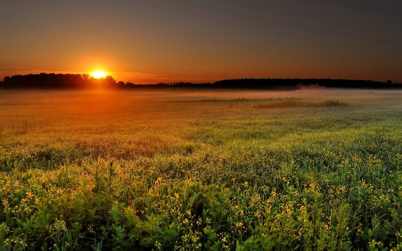 Sunrise over Field — Orange, Serene