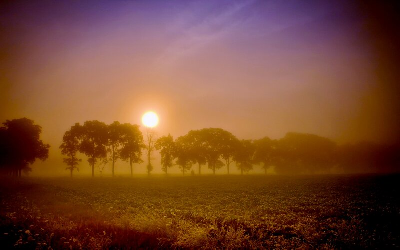 Sunrise over Field — Purple, Serene