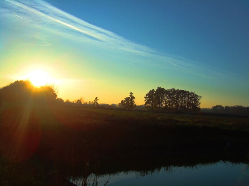 Sunrise over Field