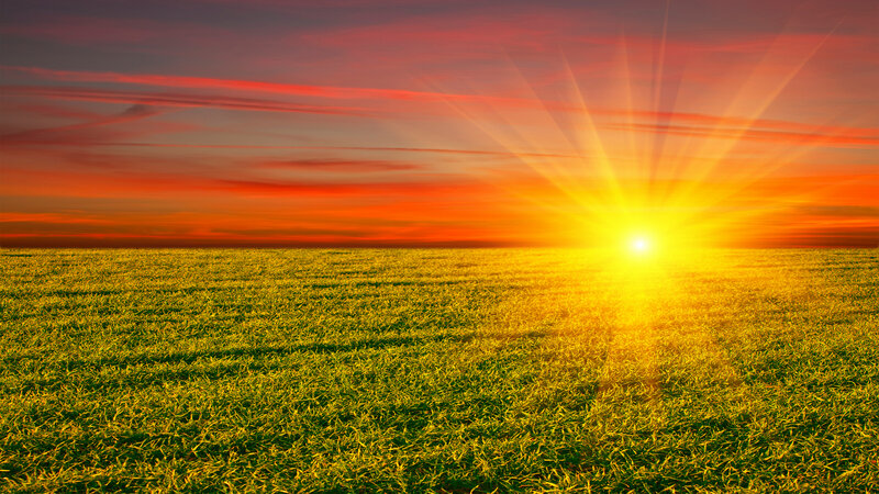 Sunrise over Field — Yellow, Dramatic, Sunset