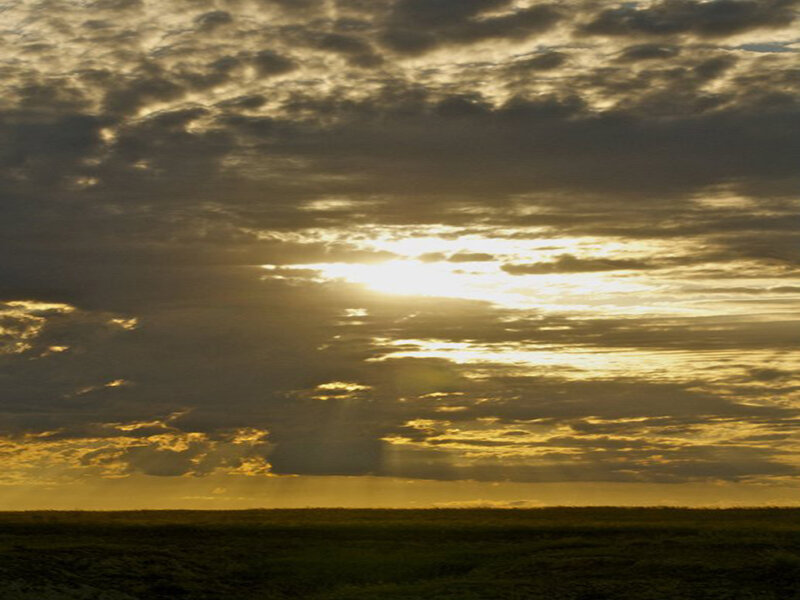 Sunrise over Field — Yellow, Dramatic