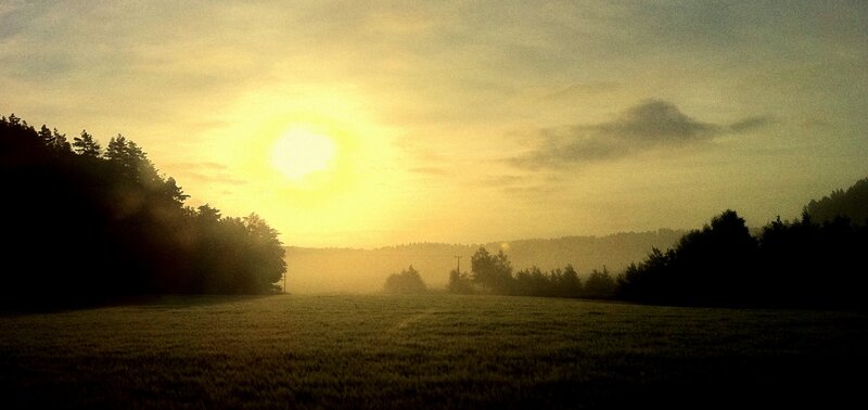 Sunrise over Field — Yellow, Serene