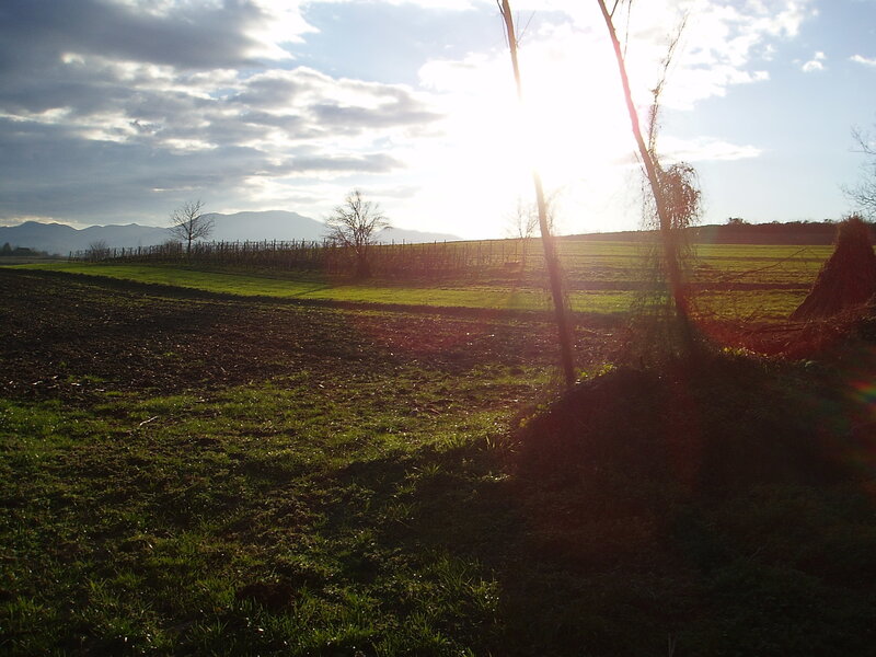 Sunrise over Fields