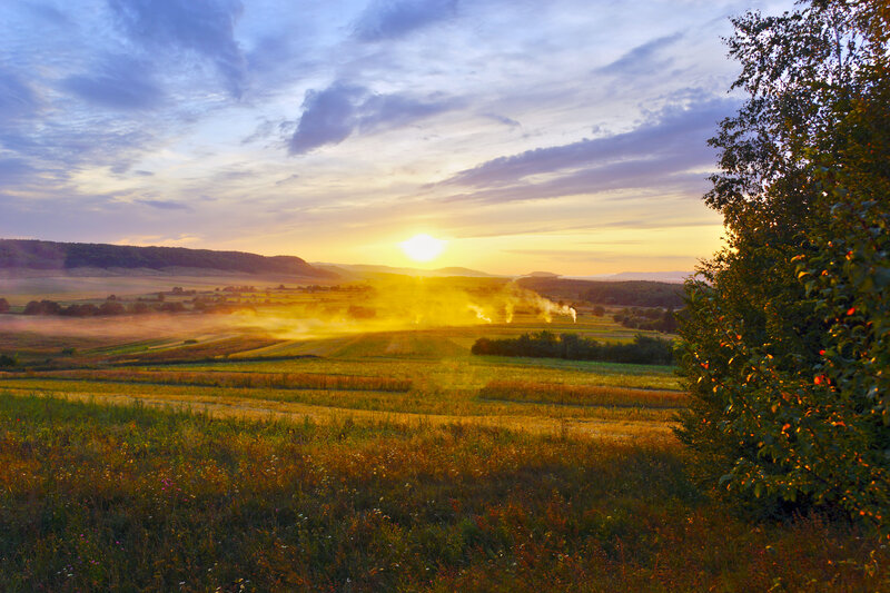 Sunrise over Fields — Yellow