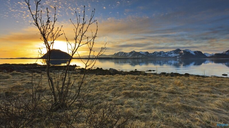 Sunrise over Fjord — Blue