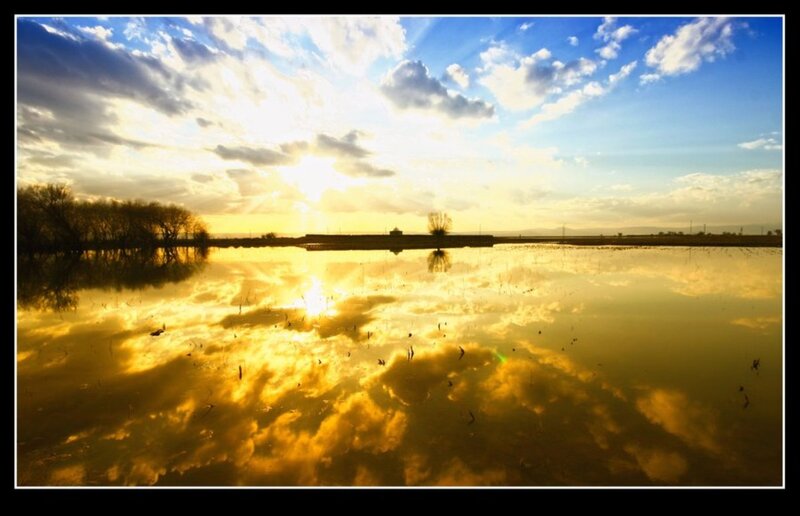 Sunrise over Flooded Field