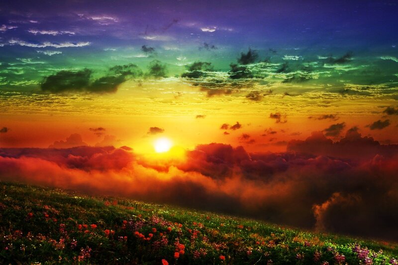 Sunrise over Flower Field — Orange, Dramatic