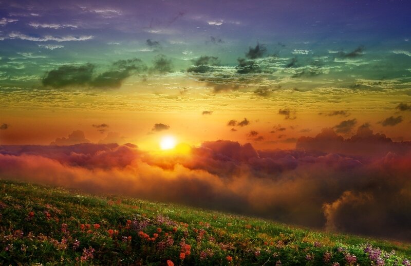 Sunrise over Flower Field — Orange