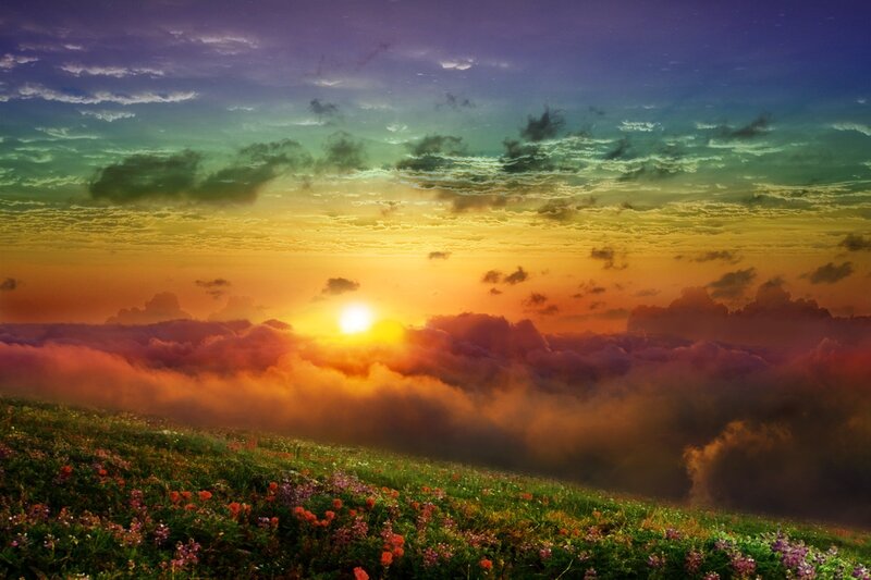 Sunrise over Flower Field