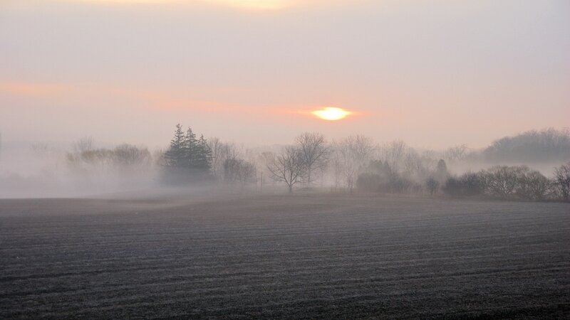 Sunrise over Foggy Field — Gray