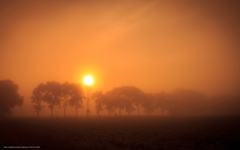 Sunrise over Foggy Field — Orange, Serene, Photograph