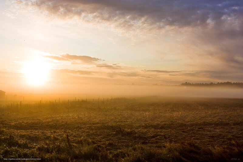 Sunrise over Foggy Field — Orange, Serene