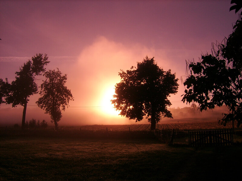 Sunrise over Foggy Field — Purple