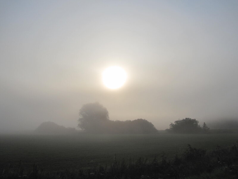 Sunrise over Foggy Field