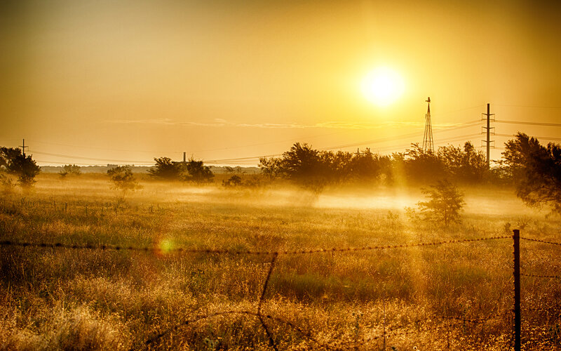 Sunrise over Foggy Field — Yellow